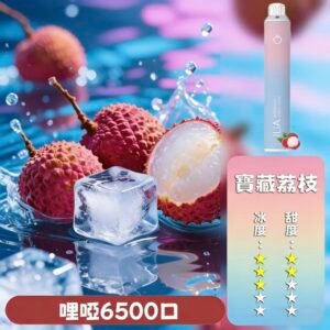 ILIA拋棄式6500口 | 哩啞一次性電子菸 | ILIA電子煙推薦|寳藏茘枝