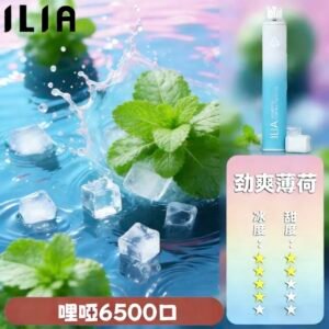 【勁爽薄荷】ILIA拋棄式6500口 | 哩啞一次性電子菸 | ILIA電子煙新品推薦