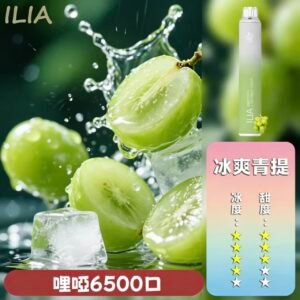 【冰爽青提】ILIA BAR 4 拋棄式電子煙｜6500口續航升級｜多口味任選