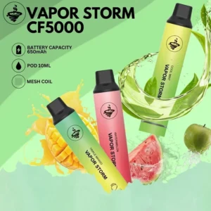 【VAPOR STORM】風暴5000口拋棄式電子煙|一次性電子菸|15 種口味|台灣現貨